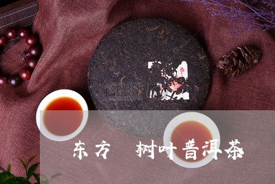 东方 树叶普洱茶/2023041046371